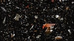 7.soup_fragmented cups